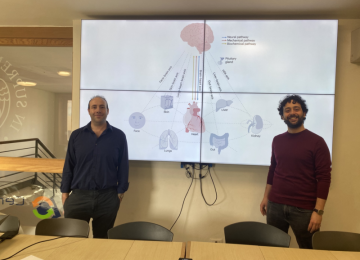 Il mistero della connessione tra cuore e cervello in uno studio pubblicato su Nature Reviews Cardiology.