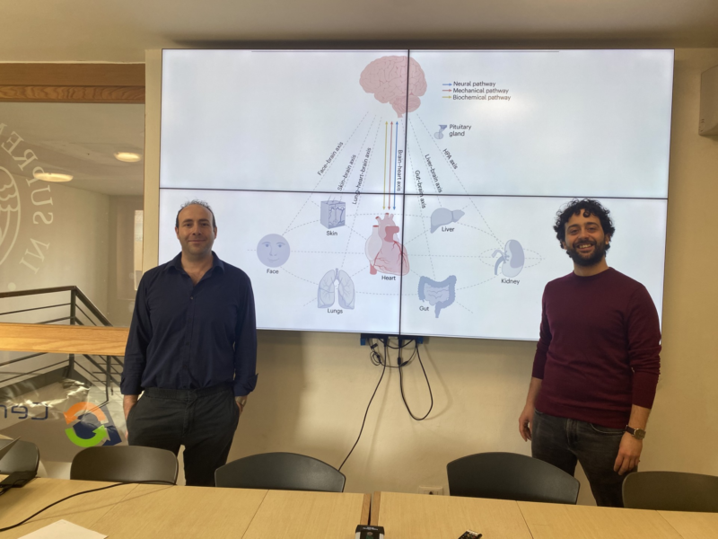 Il mistero della connessione tra cuore e cervello in uno studio pubblicato su Nature Reviews Cardiology.