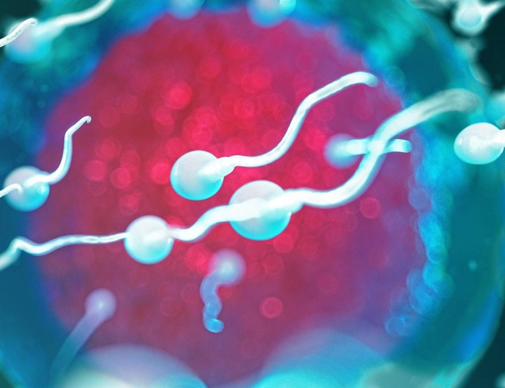Nello sperma si nasconde l'indizio sulla longevità (o meno) degli uomini: la ricerca