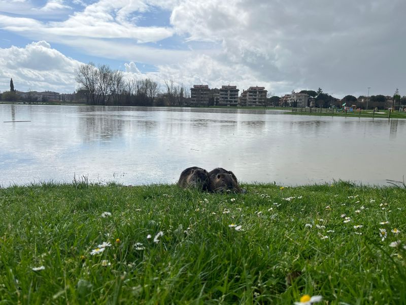 Serravalle dopo l'alluvione: le immagini del parco gravemente danneggiato dal maltempo