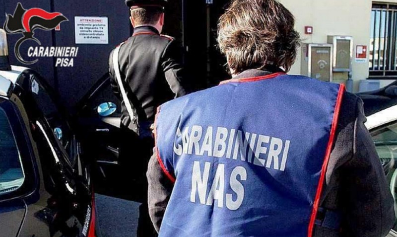 Topo in cucina: i NAS chiudono un bar nel centro di Pisa