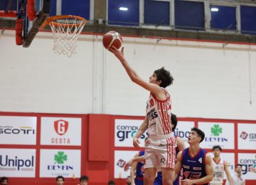 Utilizza le batte largamente di Computer Gross a Borgomanero