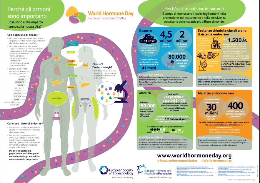 World Hormone Day: AME Shines a Spotlight on Endocrine Disruptors