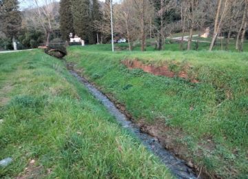 Appello di Del Rosso alle Istituzioni per la Tracimazione del Rio Botricello