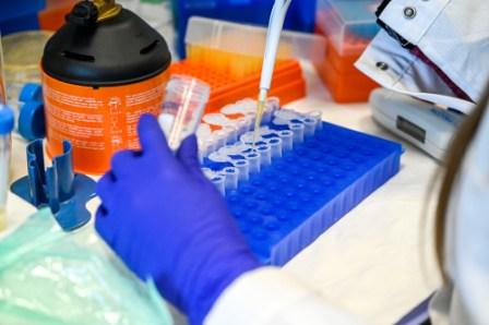 Biotecnologie: la domanda di lavoro crescerà nei prossimi dieci anni