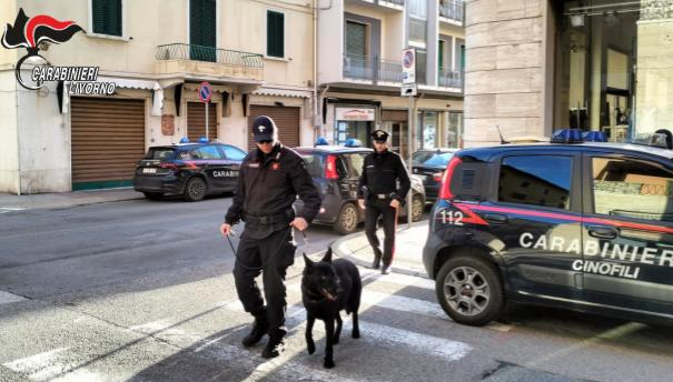 Controlli nel Livornese: un arresto e diverse denunce per droga, trovata una targa falsificata