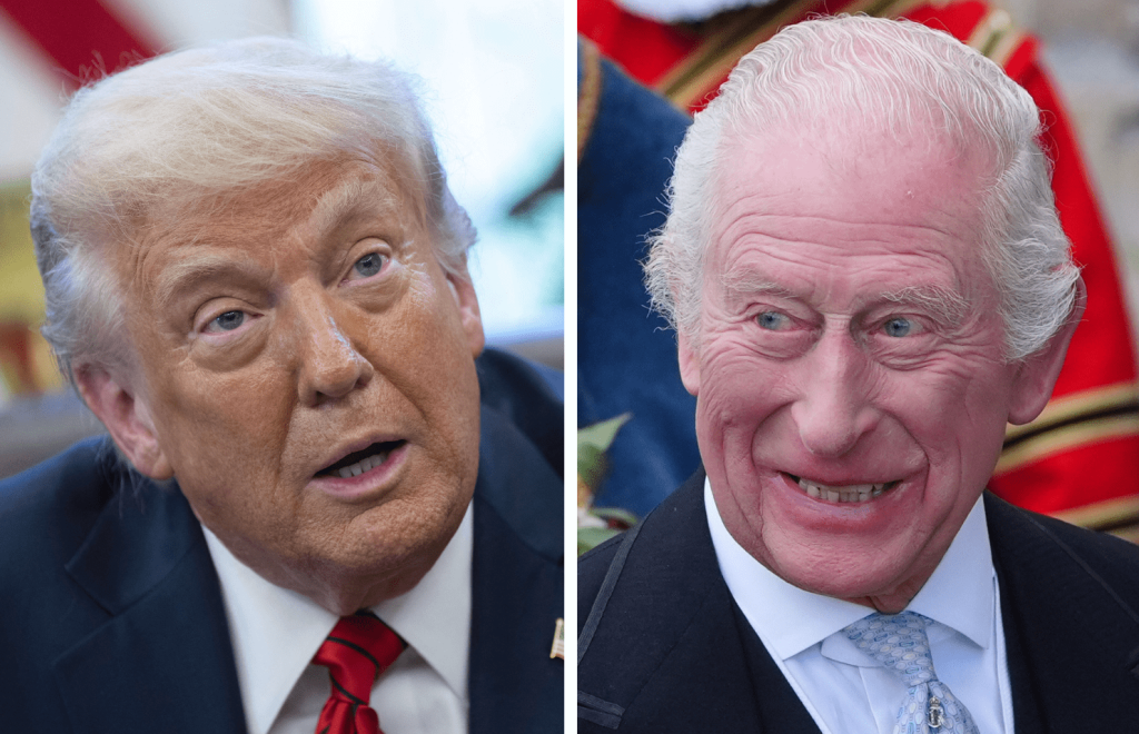 Cosa ha dichiarato il presidente?
