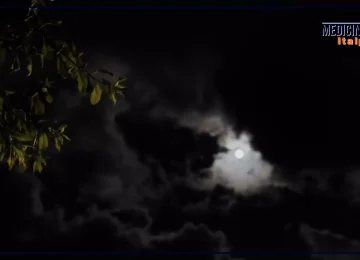 Cronobiologia: Come il Cambio dell'Ora Influisce sulle Funzioni Fisiologiche