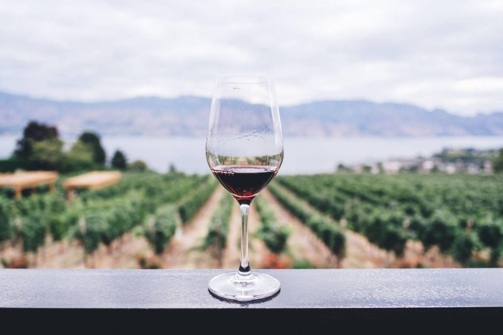 Dazi, timori e nuove strategie: le testimonianze dei Consorzi del mondo del vino da Nord a Sud