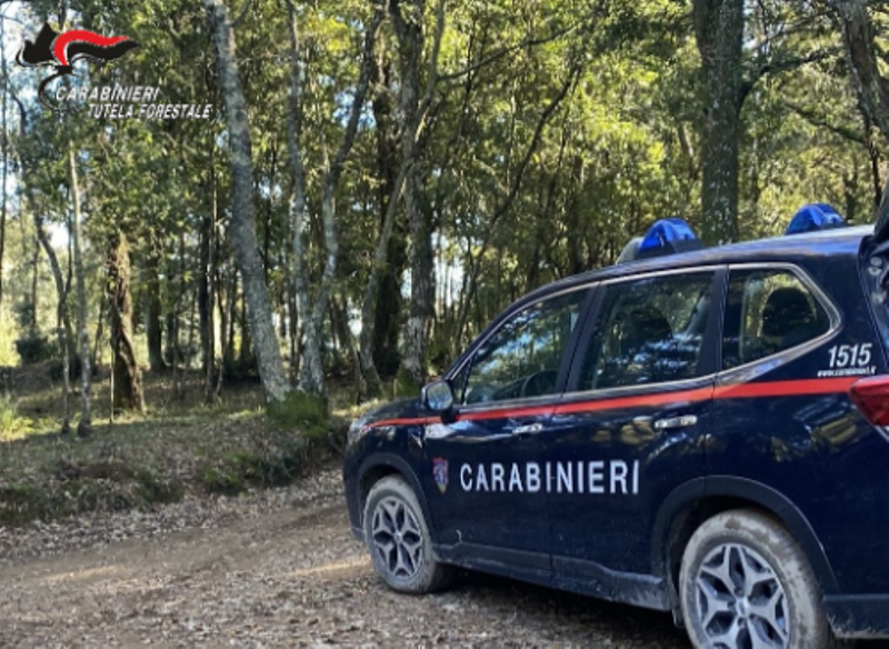 Denunciate per gestione illecita dei rifiuti in un'azienda agricola a Vad.