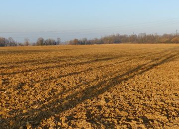 Enea coinvolta nel progetto europeo per la gestione sostenibile del suolo