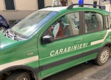 Esplorando la Biodiversità con il Reparto Carabinieri Biodiversità di Lucca