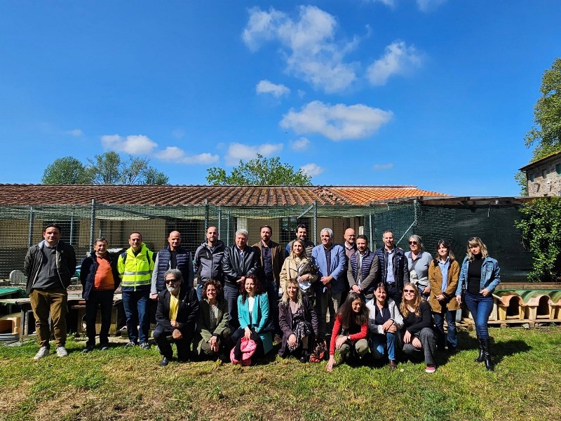 Gattile di Pontetetto, riqualificazione completata: “Un ambiente rinnovato e ospitale”