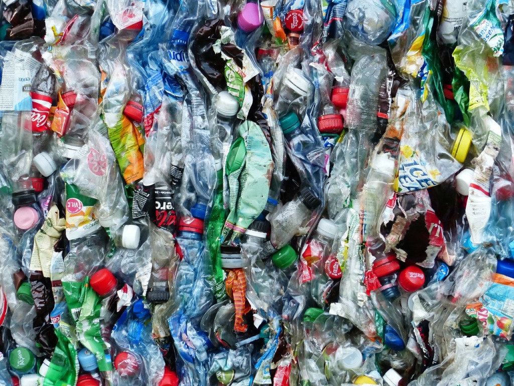 Giornata Mondiale della Terra: 7 Eventi Plastic Free in Toscana