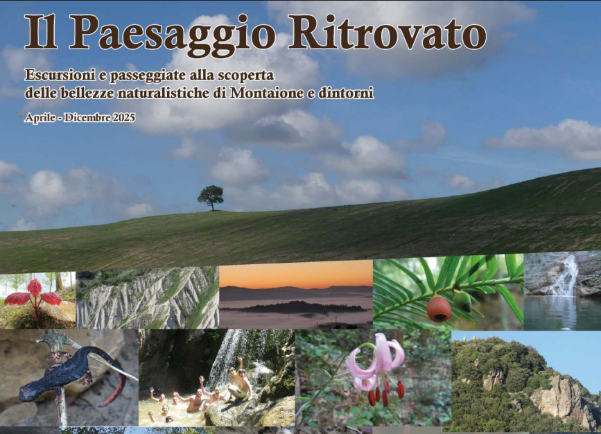 Il Paesaggio Riscoperto: Esplorando le Meraviglie Naturalistiche di Montaione e Dintorni