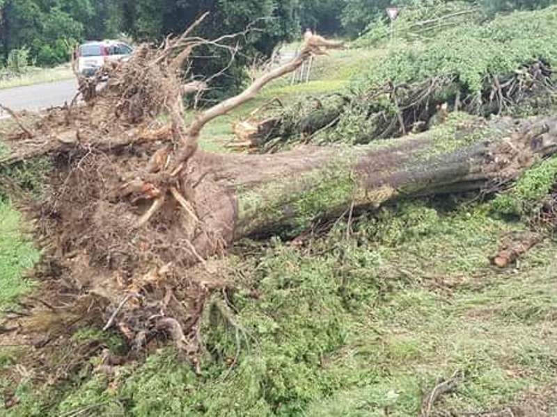 Maltempo: Anci Toscana visita i Comuni maggiormente colpiti per ascoltare le necessità e fornire supporto