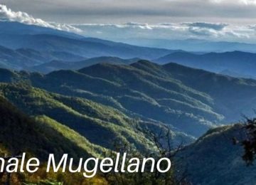 Mugello, la controversa transizione ecologica: “In questo modo si danneggia la natura”