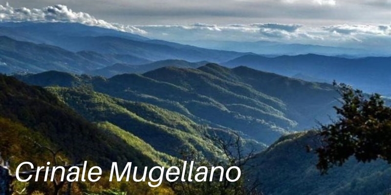 Mugello, la controversa transizione ecologica: “In questo modo si danneggia la natura”