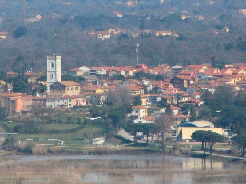 Orentano, arrestato un trentaduenne per spaccio nel bosco