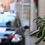 Resti umani rinvenuti in un'auto nei boschi della Lunigiana