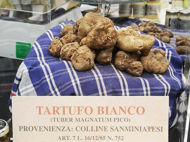 San Miniato entra nel direttivo nazionale della Città del Tartufo