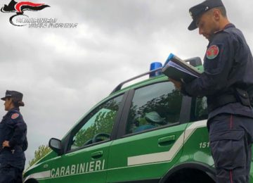 Scaricava le acque reflue domestiche fuori dalla fognatura: intervento dei forestali a Cecina