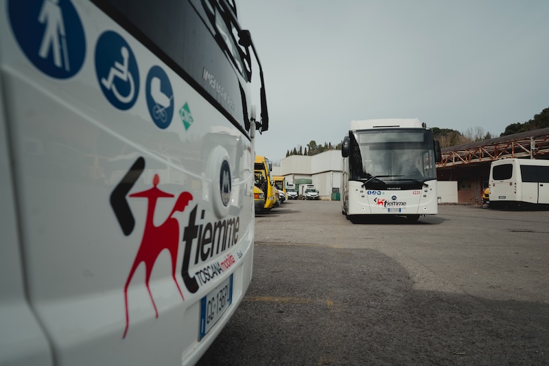 Al mare in bus: ripartono i collegamenti estivi di Tiemme con la prima linea da Firenze a Piombino