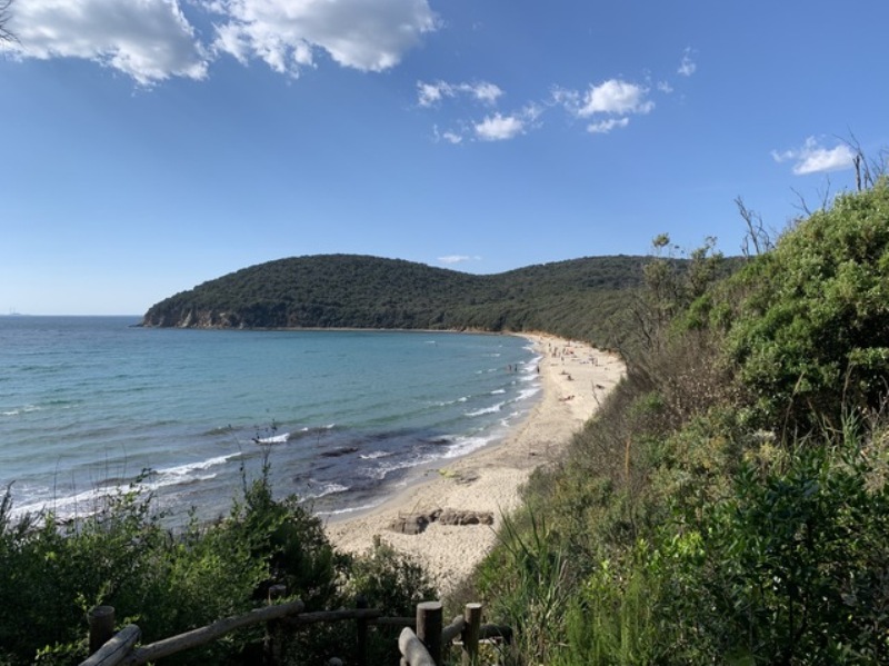 Cala Violina: Accesso Solo Su Prenotazione dal 1 Giugno - Scopri Come!