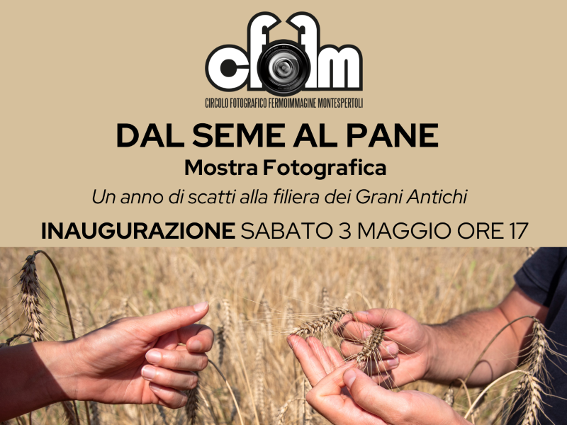 "Dal Seme al Pane": a Montespertoli, la mostra che narra un anno nella filiera dei Grani Antichi.