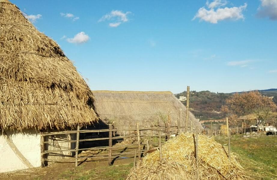 Danneggiamento all'Archeodromo di Poggibonsi: la condanna dell'assessora Tozzi