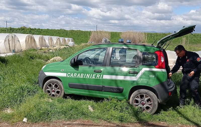 Distrutte oltre 200 confezioni di semi e fitofarmaci irregolari sequestrati a Prato