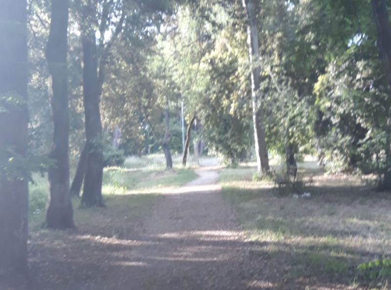 Droga: 60 grammi rinvenuti in pineta a Viareggio