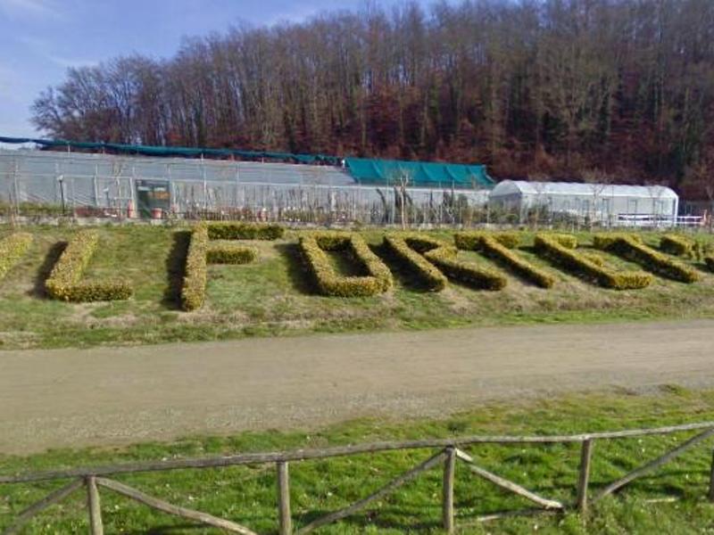 È scomparso a 84 anni Rodolfo Fiesoli, fondatore della Comunità Il Forteto.