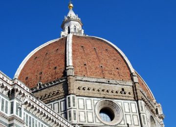 Falco pellegrino rifugiato sul Duomo di Firenze: si attende l'intervento