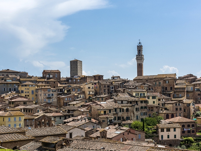 Manifesti di Pro Vita & Famiglia vandalizzati a Siena