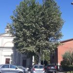 Massarella si prepara per il Reality Bites Festival: date e ospiti 2025