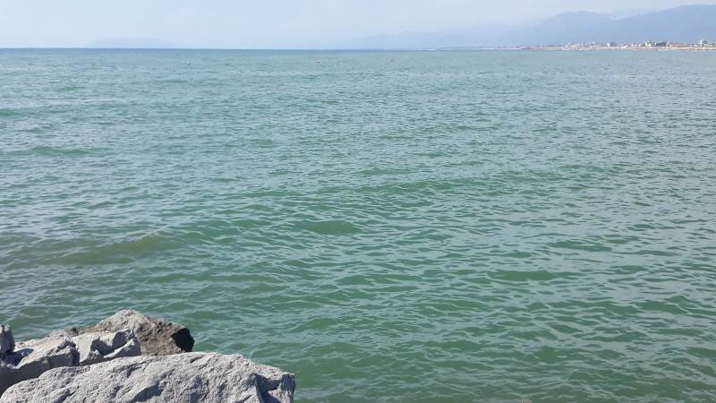 Ordinanza Temporanea di Divieto di Balneazione nella Località Focette