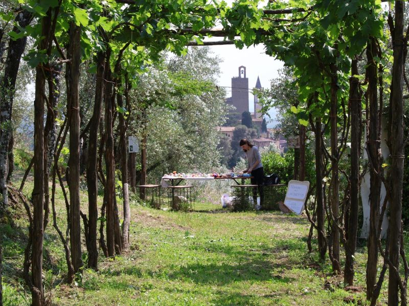 Piccola Fiera di Primavera a Vinci: la città si riempie di festa con tradizioni, musica, arte e benessere.