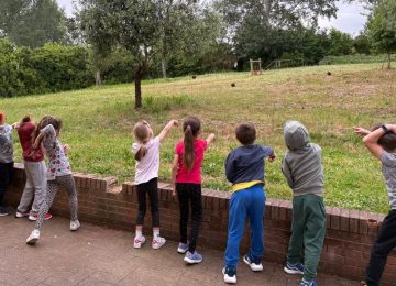 Salviamo le api! A San Casciano, il progetto educativo per tutelare gli impollinatori e la biodiversità.