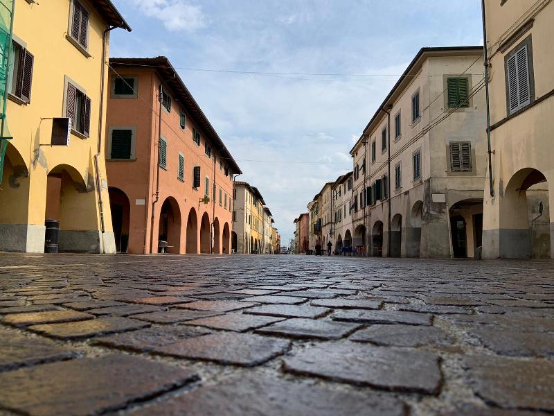 Un caso di dengue riportato a Cascina