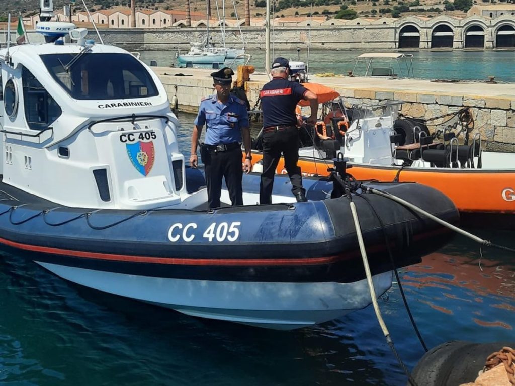 A Favignana, i Carabinieri salvano quattro tartarughe in pericolo