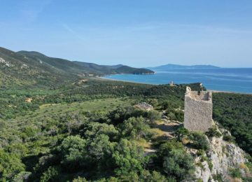 Ambiente, Giani e Monni in Maremma per festeggiare i cinquant'anni del Parco in Italia