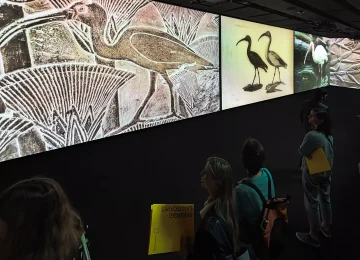 Aumento di Visitatori in Piemonte per il Ponte del 2 Giugno