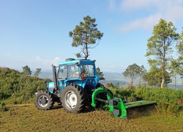 Calci e Vicopisano: dalla Regione 133mila euro per interventi di prevenzione incendi boschivi
