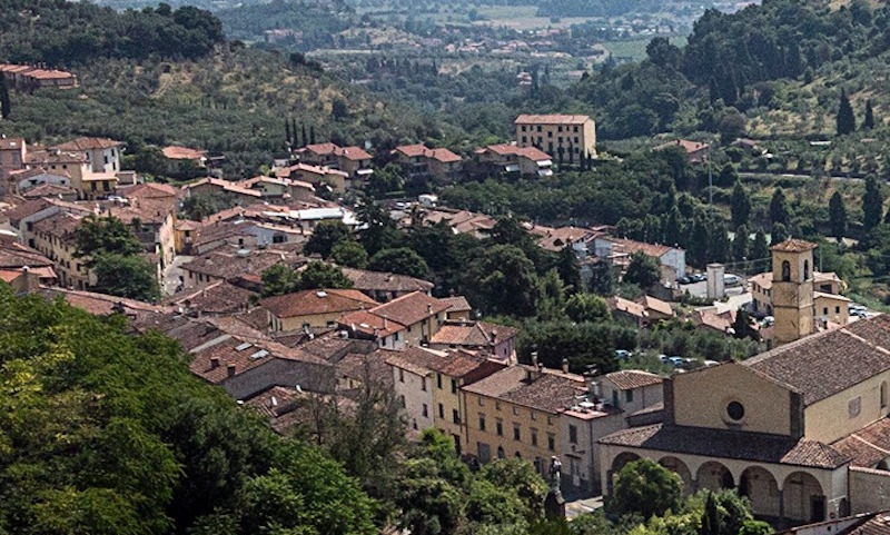 Cani causano panico a Carmignano, il Comune vieta il possesso ai residenti.