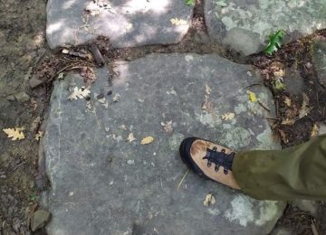 Cultura, natura e sapori al cuore dell'estate 2025