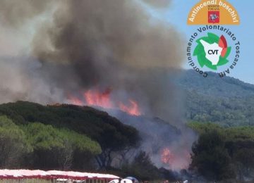 Fiamme nella pineta della spiaggia del Puntone a Scarlino