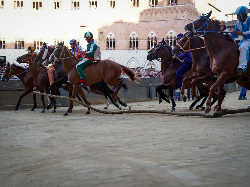Palio del 2 luglio: l'elenco dei cavalli selezionati dai Capitani