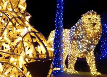 Polemica ad Empoli per la gestione dello Zoo Luminoso, le opposizioni: "Scelte inopportune"