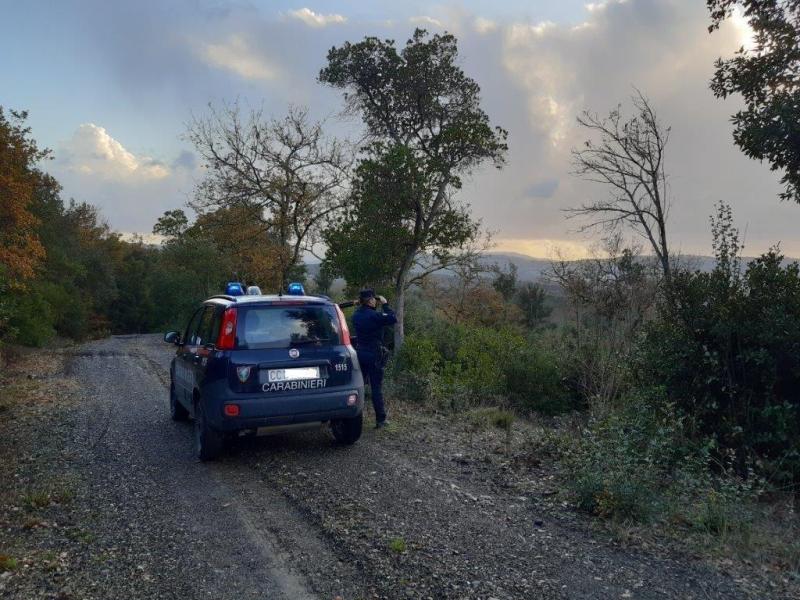 Strada abusiva nel Monte Argentario: 500 mq di bosco danneggiati, denunciati proprietario e direttore dei lavori